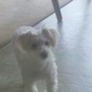 Meet your Posher, Candy